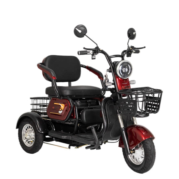 Triciclo Elétrico Zube Duos 600w