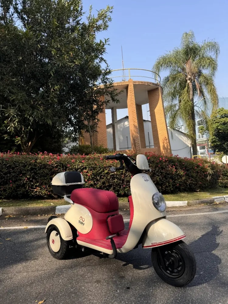 Scooter SUDU A3T 800 Watts